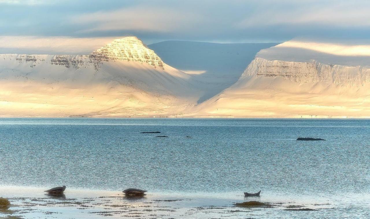 Sudavik Guesthouse Súðavík Εξωτερικό φωτογραφία
